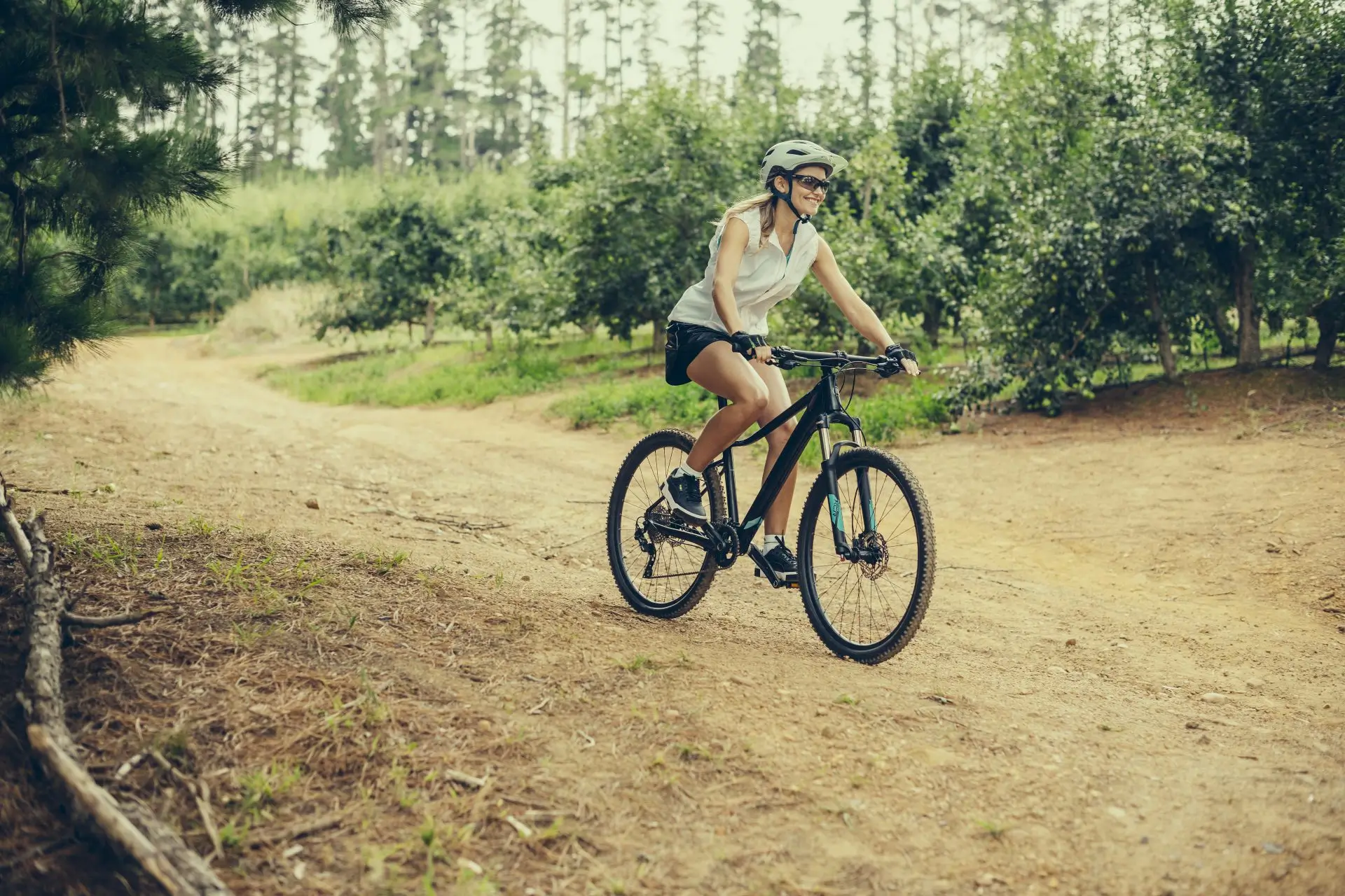 Škoda Ebike