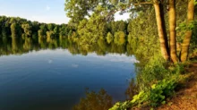 jezero Sadská