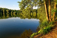 jezero Sadská