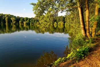 jezero Sadská