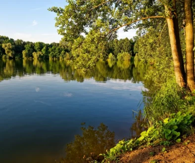 jezero Sadská