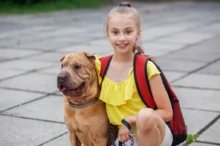 Stále více majitelů vybírá jméno podle charakteru svého psa nebo nějakého jeho znaku.