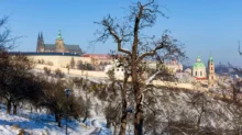 zasněžená krajina