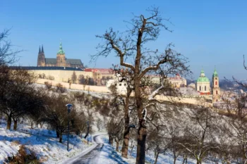 zasněžená krajina