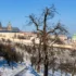 zasněžená krajina