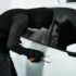 Zloděj krade auto