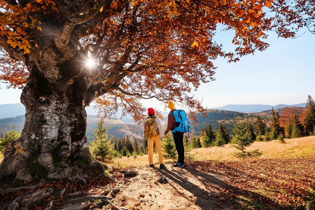 turisté v přírodě na podzim - Techsvět turisté v přírodě na podzim