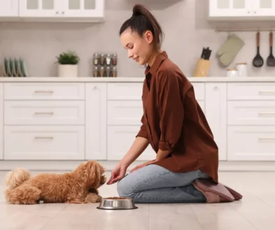 Věk dožití psa ovlivňuje i jeho životospráva. Zdroj žena krmí psa