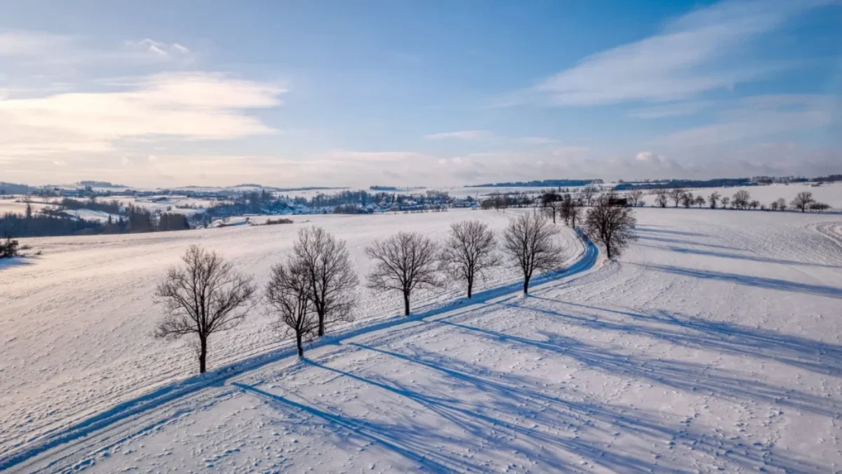 Krajina ve sněhu