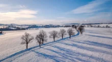 Krajina ve sněhu