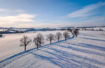 Krajina ve sněhu