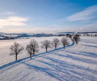 Krajina ve sněhu
