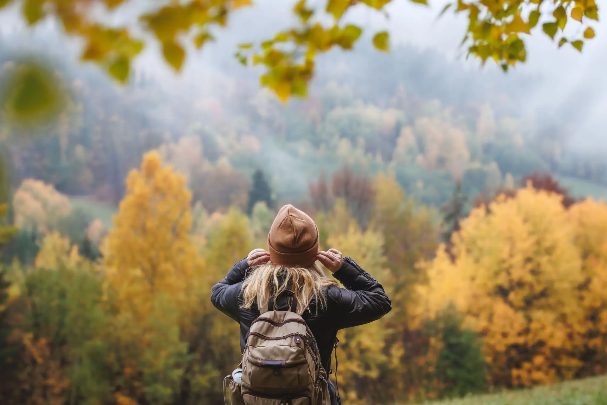 Shutterstock_2360902497 - Techsvět Žena na turistice v lese na podzim