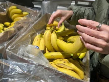 žena vybírá banány