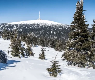 Kde už sněžilo a kde sněžit bude? Zdroj Zasněžený Praděd