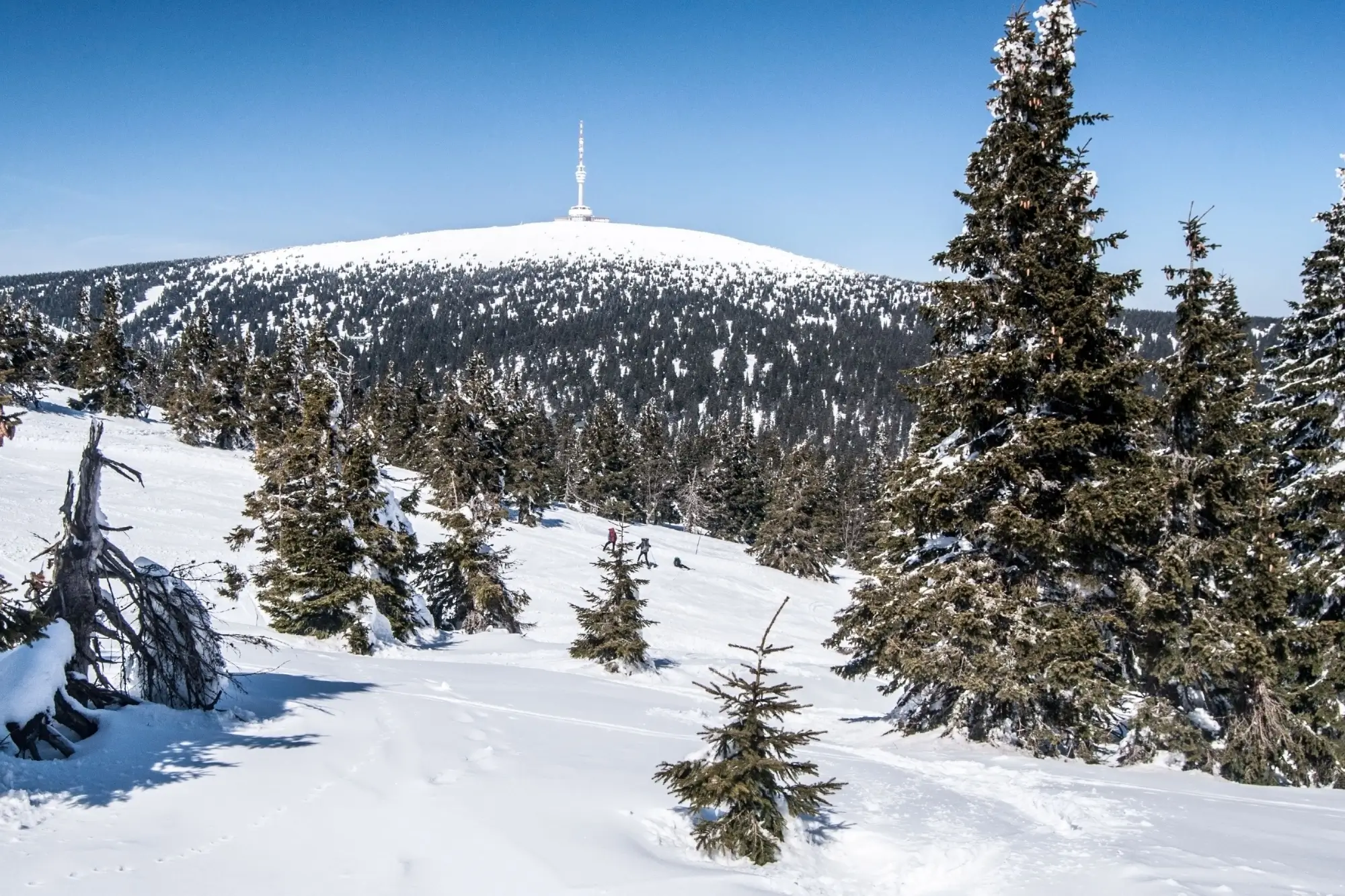 Zasněžený Praděd