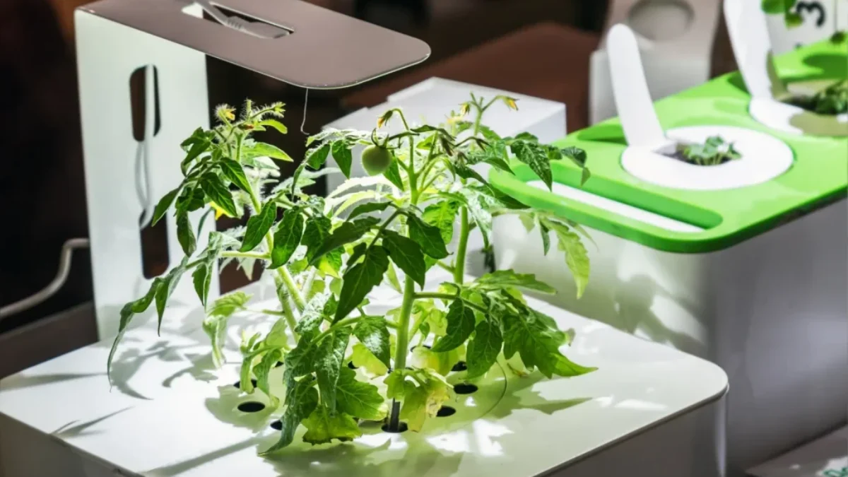High tech gardening neboli chytré květináče jsou budoucností v pěstování rostlin