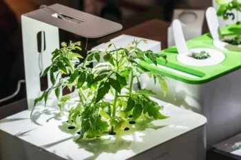 High tech gardening neboli chytré květináče jsou budoucností v pěstování rostlin