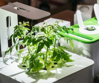 High tech gardening neboli chytré květináče jsou budoucností v pěstování rostlin