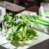 High tech gardening neboli chytré květináče jsou budoucností v pěstování rostlin