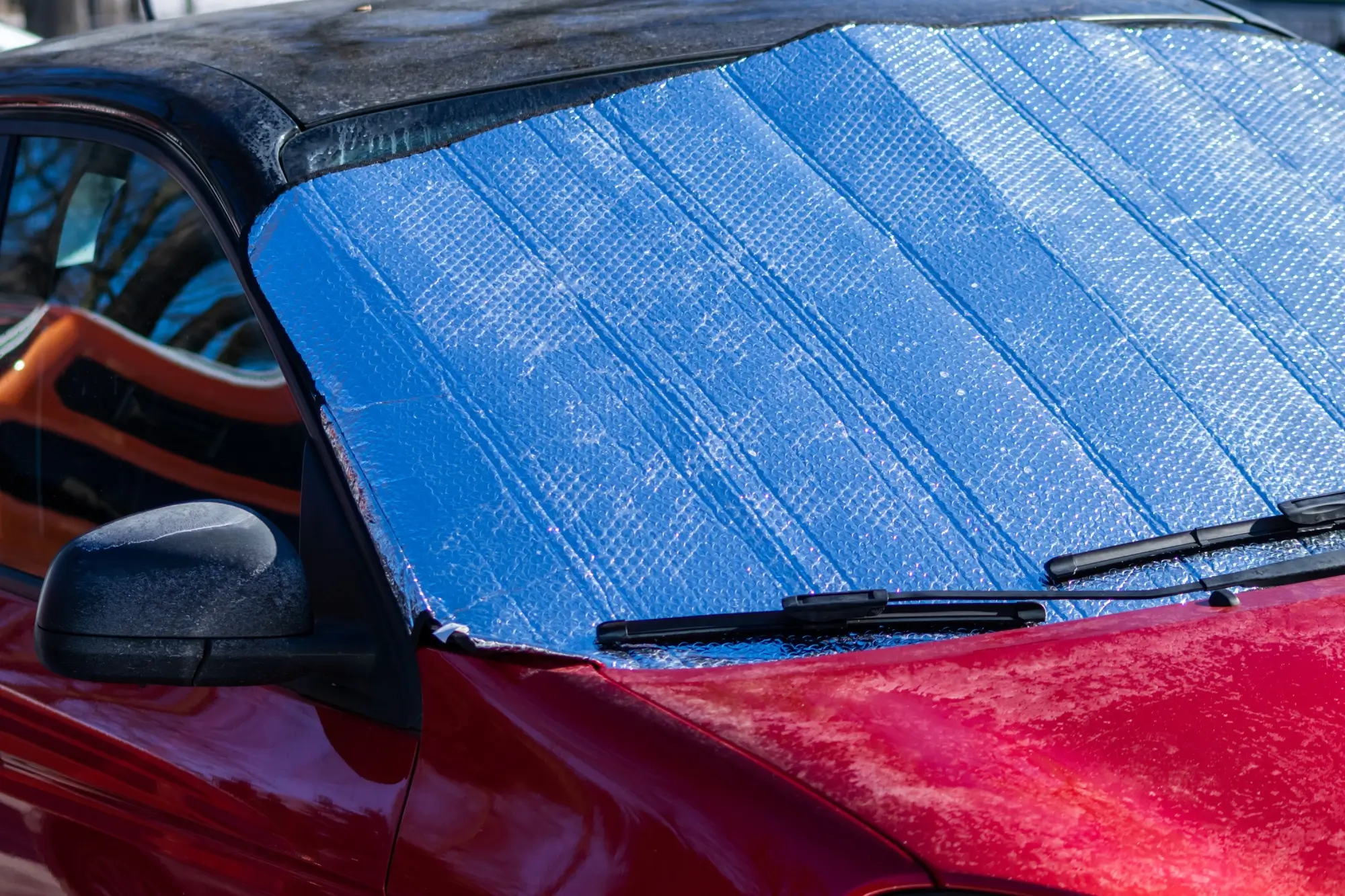 clona na čelním skle