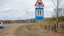 Dopravní značka upozorňující na výskyt zvířat, pod ní značka pro občerstvení.
