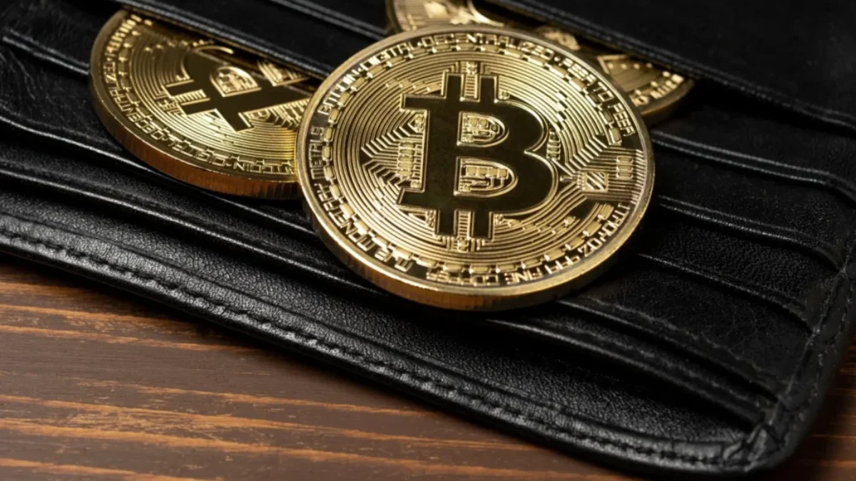 Bitcoin v peněžence