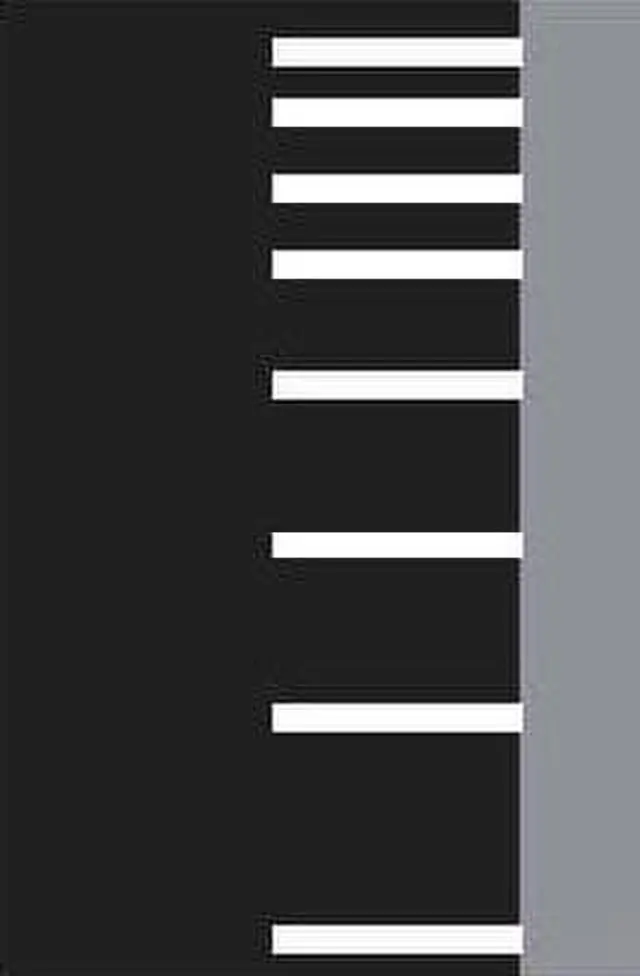 Značka namalovaná na silnici. Zobrazuje optickou psychologickou brzdu.