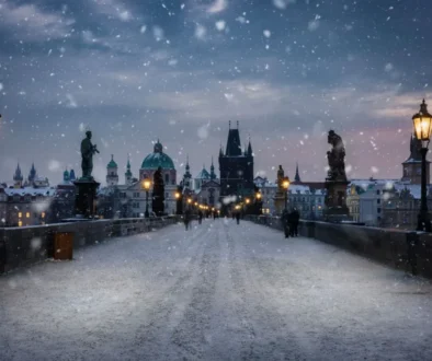 V nejbližších dnech v České republice moc sněhu nepřibude.