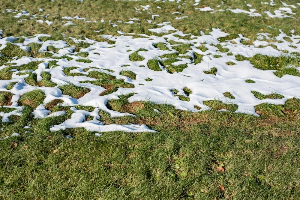 - Techsvět rozpouštějící se sníh na trávníku