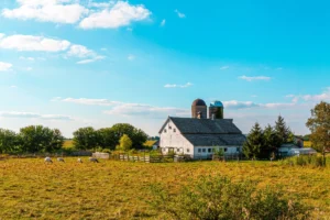 Švédský farmář si postavil domácí reaktor, co vyrábí plyn pro celý dům z posekané trávy