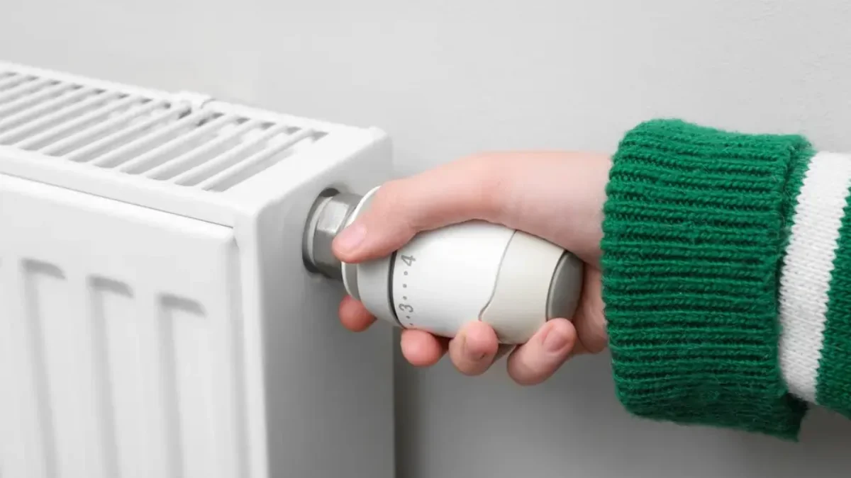 Odborník radí občas topení vypnout.