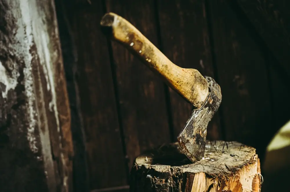 I na první pohled obyčejná sekyrka může být pro sběratele velmi cenná.