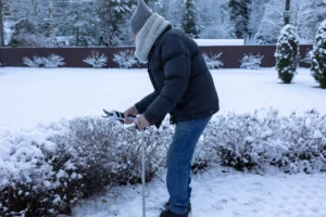 V lednu se rozhoduje o vaší úrodě. Kdo podcení zimní údržbu zahrady, nevypěstuje ani pažitku