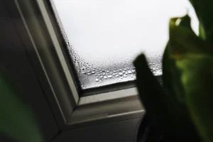 Dobré vědět: Proč se v zimě zamlžují okna a jak tomu trvale zabránit?