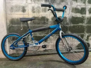 Pokud máte ještě ve sklepě staré kolo BMX, máte poklad. Dnešní ceny atakují astronomické cifry