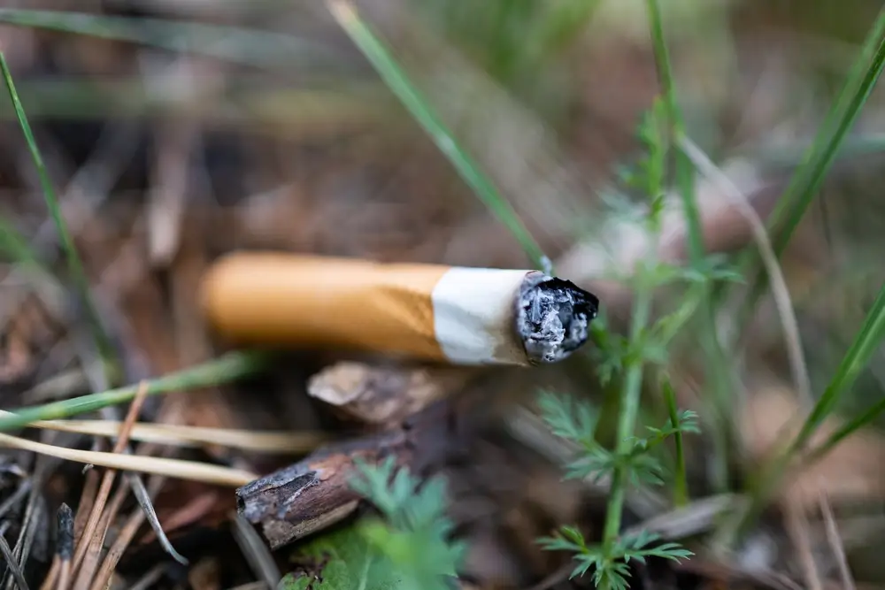 Cigaretové filtry jsou plné těžkých kovů a dalších problematických sloučenin které další zpracování komplikují. 