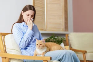 Tenhle nenápadný přístroj je hit mezi majiteli domácích zvířat. Kýchání a alergie zmizí téměř okamžitě