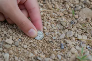 Muž z Trutnovska šel na procházku a přišel s pokladem za 11 milionů