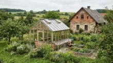 Garden scene with a wooden-framed greenhouse beside a stone cottage; a person tends raised veggie beds amid flowers.