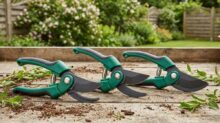 Three green hand pruners with curved blades lying on a wooden surface in a garden day.