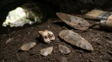 Archaeological dig in a cave: dirt, a fossil-like jaw bone and stone projectile points with a trowel and brush nearby.