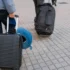Lidé vezou kufry.